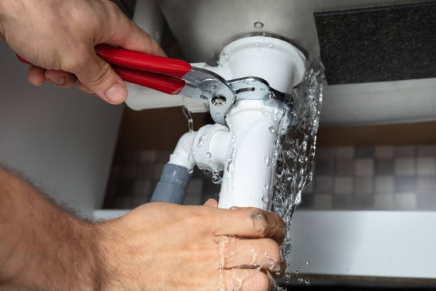 Best Mold removal after water damage  in Davison, MI