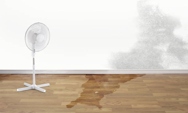 Best Commercial water damage restoration  in Davison, MI