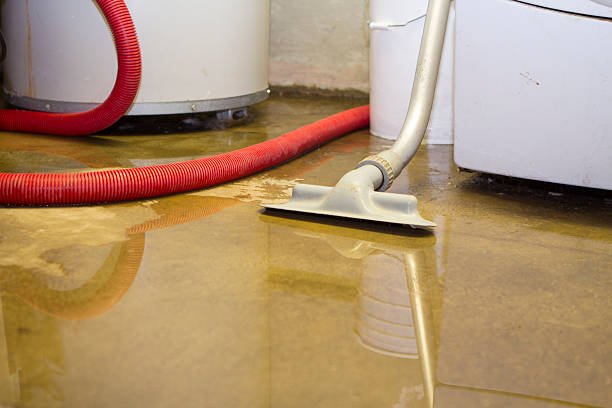 Best Water damage restoration near me  in Davison, MI