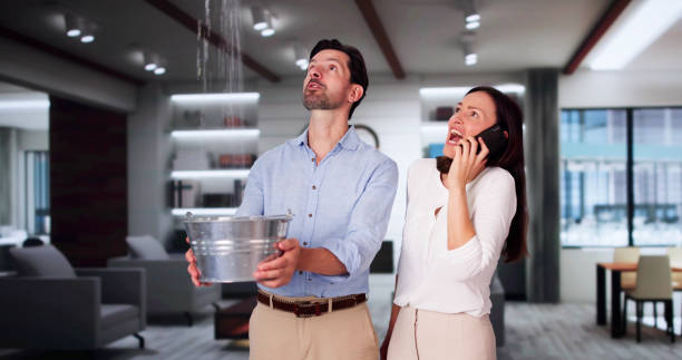 Best Basement water damage restoration  in Davison, MI