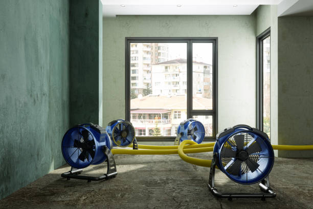 Water damage restoration process in Davison, MI