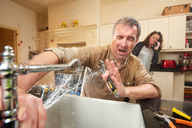 Best Flooded house restoration  in Davison, MI